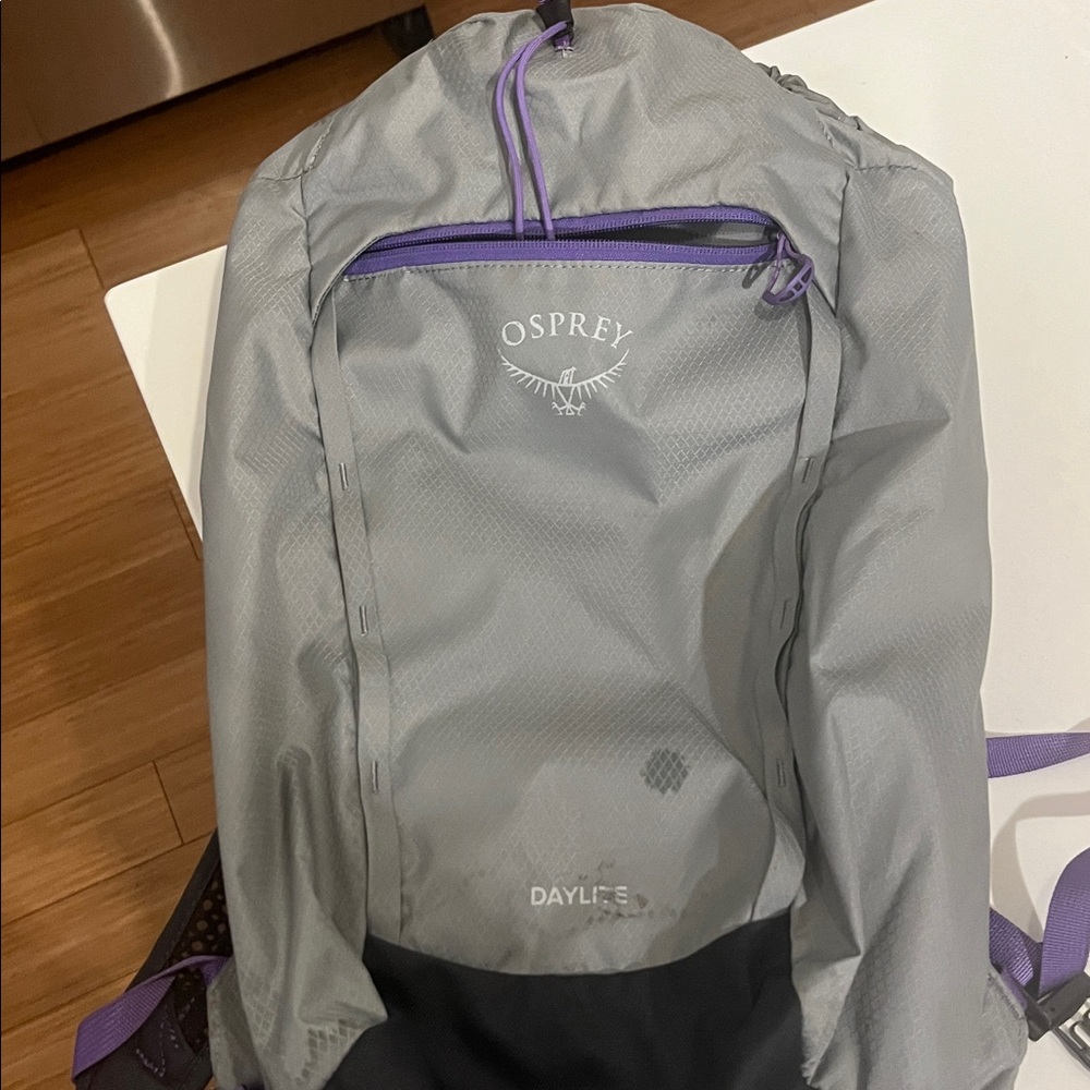 Osprey Daylite Backpack in Gray and Purple